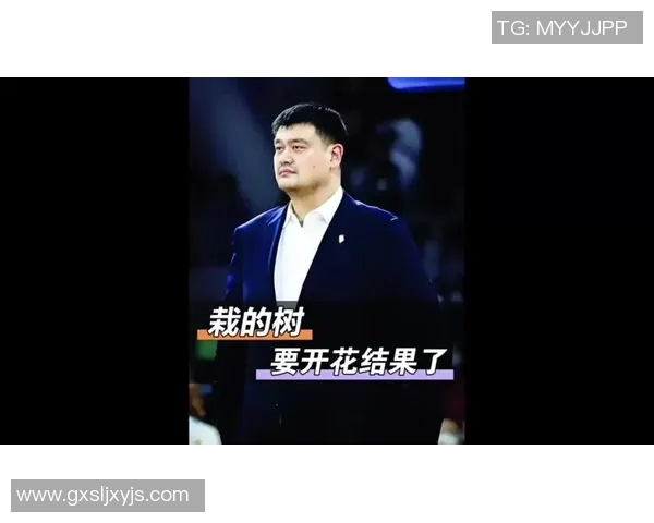 姚明的心声:从篮球巨星到人生导师的成长与反思 姚明的心声:从篮球巨星到人生导师的成长与反思